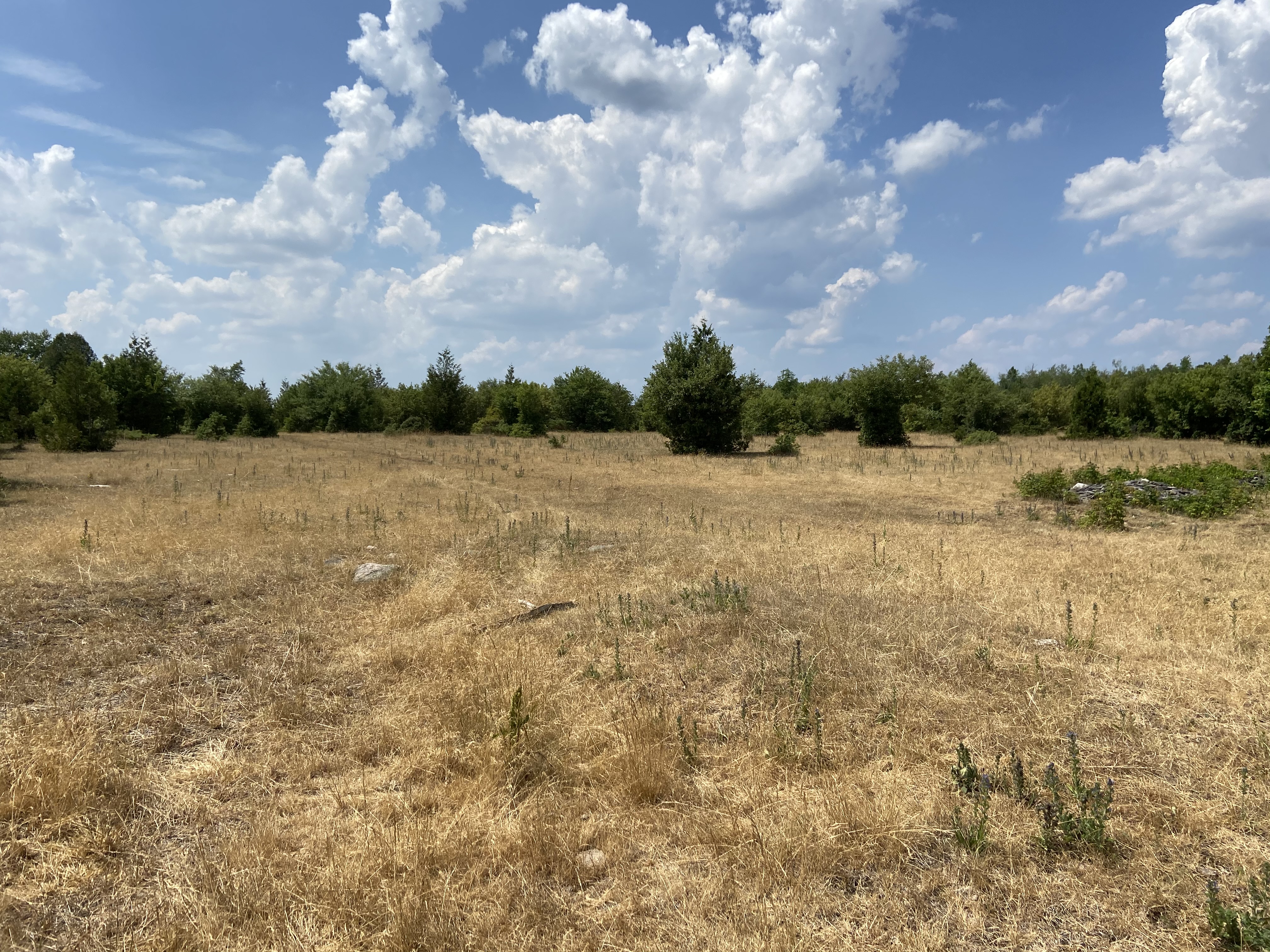 Lt 6 Con 11, Heights Rd